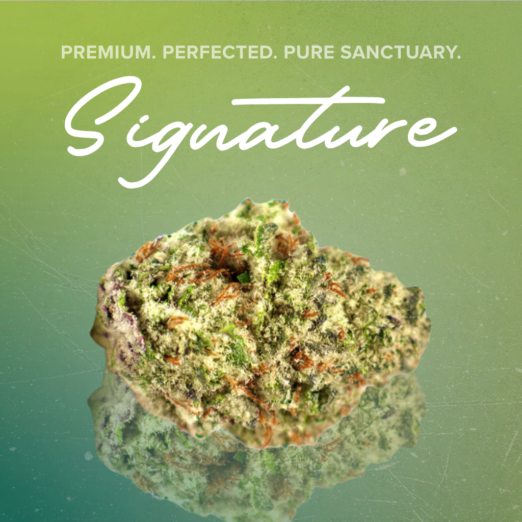 Signature 3.5g Gastro Pop