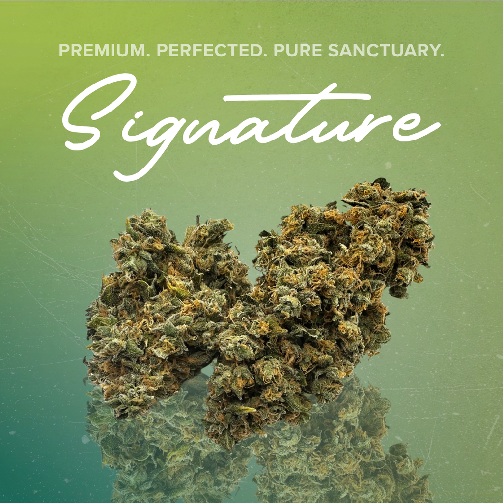 Signature 3.5g Ging T.