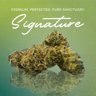 Glitter Bomb Sanctuary Cannabis