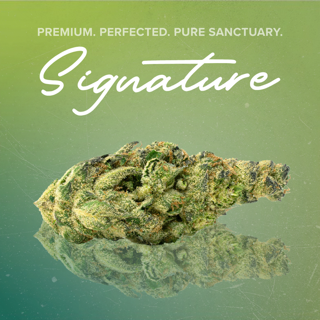 Signature 3.5g GMO