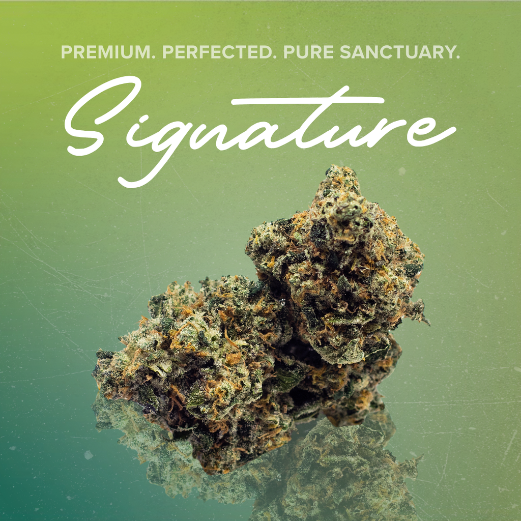 Signature 3.5g Gouda Bry
