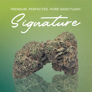 Hash Burger Sanctuary Cannabis