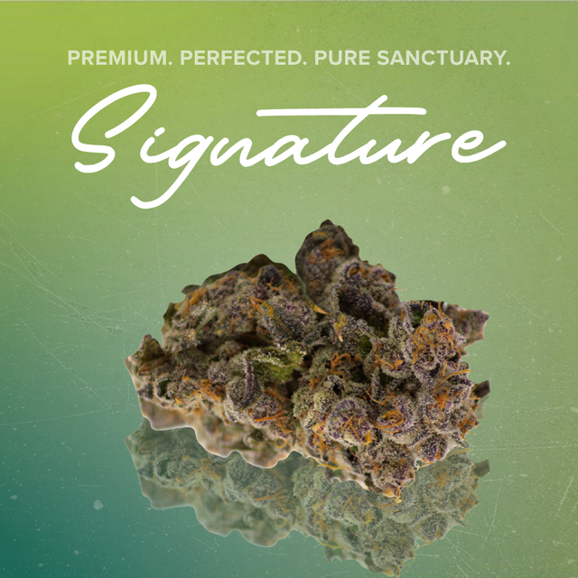 Head Mount Sanctuary Cannabis