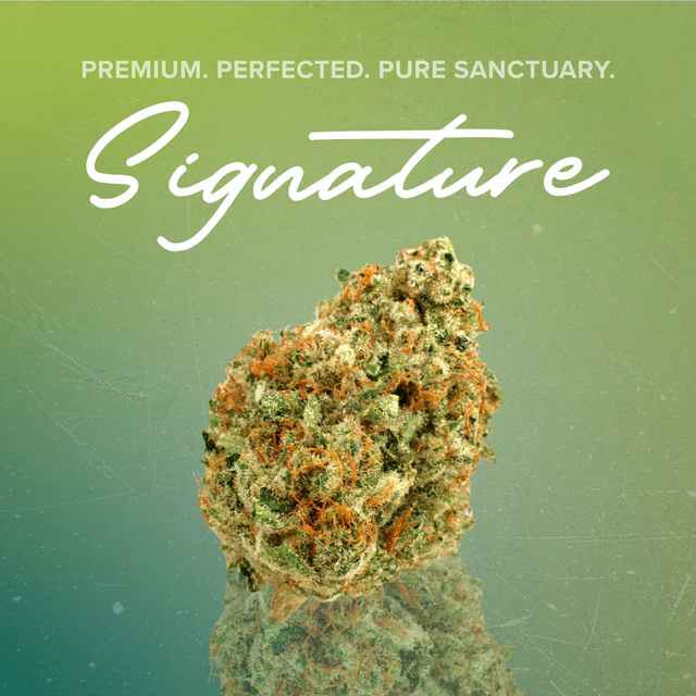 Holy Grail Sanctuary Cannabis Holy Grail Sanctuary Cannabis