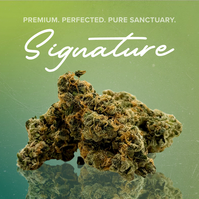 Jungle Grapes Sanctuary Cannabis