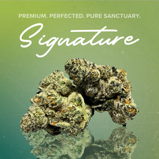 Pineapple Junky Sanctuary Cannabis