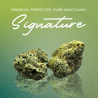 Rainbow Belts Sanctuary Cannabis