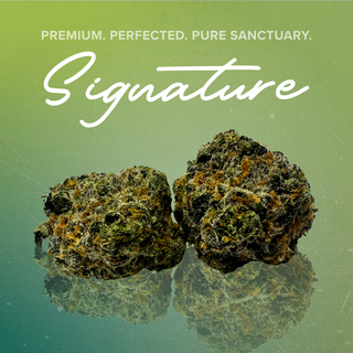 Rainbow Sherbert Sanctuary Cannabis