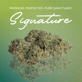 Space Center Sanctuary Cannabis