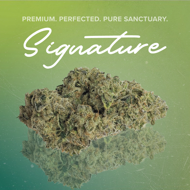 Space Center Sanctuary Cannabis