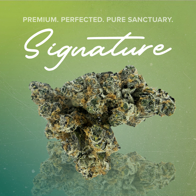Super Boof Sanctuary Cannabis