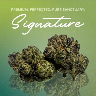 Super Sauce Sanctuary Cannabis