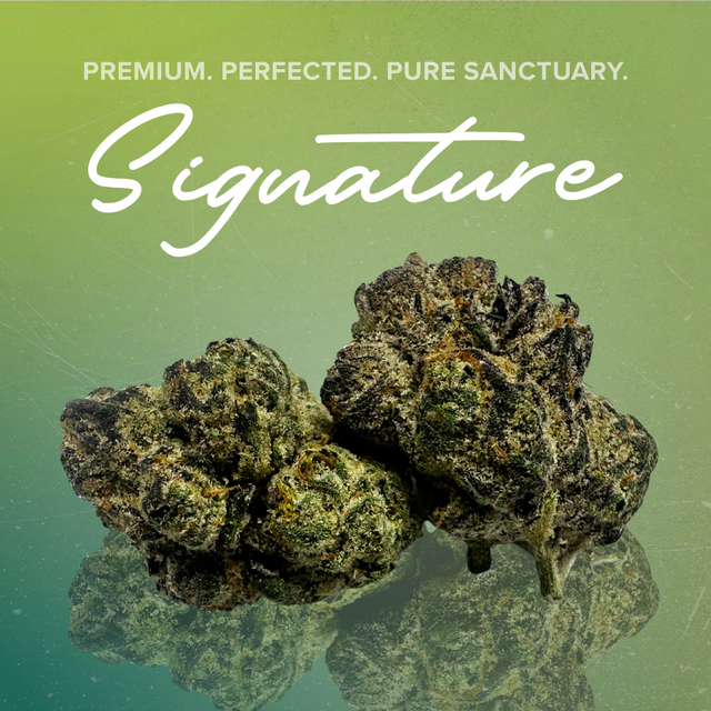 Super Sauce Sanctuary Cannabis