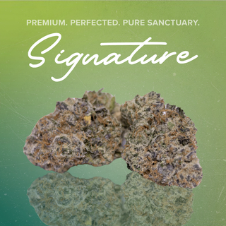 Terpee Burger Sanctuary Cannabis