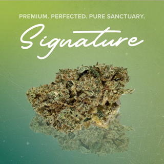 Cannabis Promo, Cannabis Sales, Cannabis Discounts, Cannabis on Sale, Any Signature Flower 26% THC or less 2 for $30 3