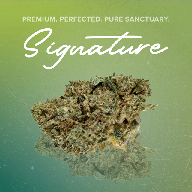 Yummy Sanctuary Cannabis Yummy Sanctuary Cannabis