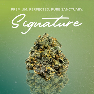 ZMints Sanctuary Cannabis