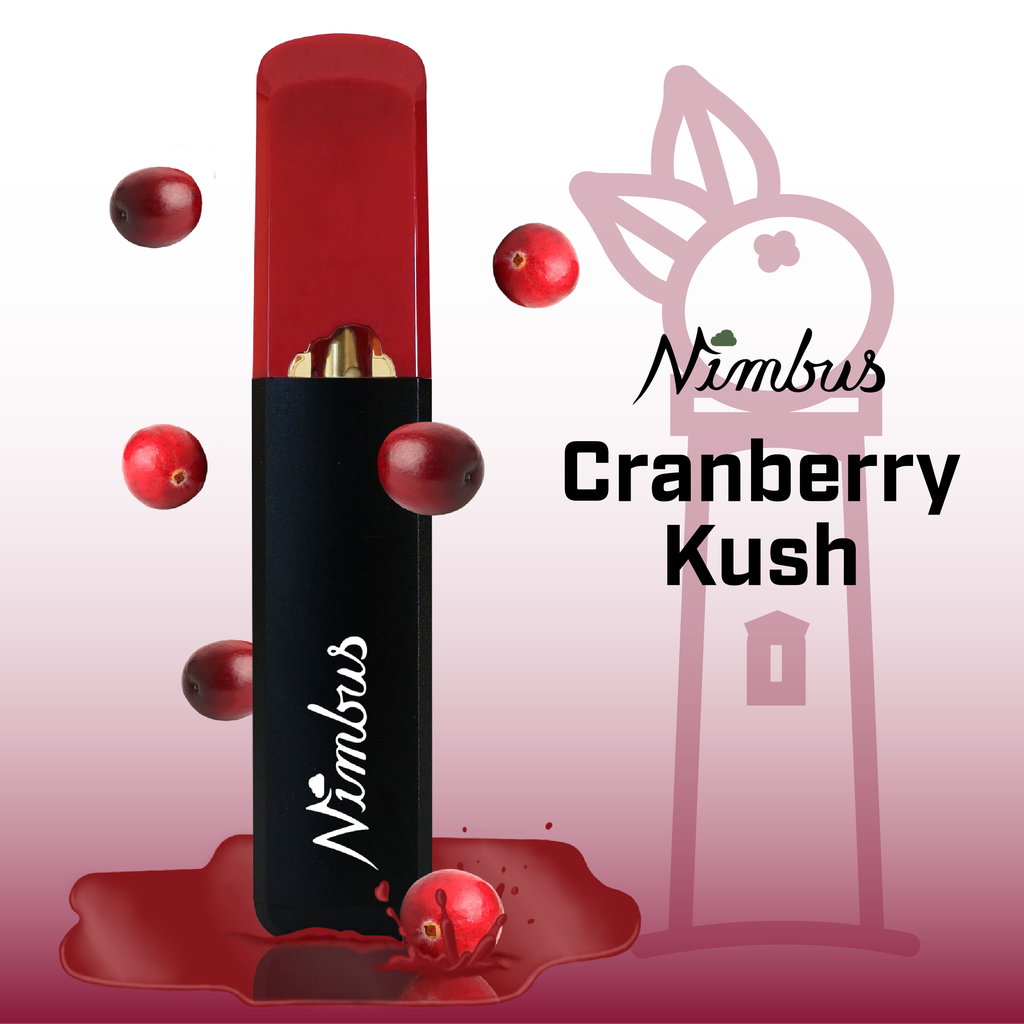vape mod for flavor chasers Freemax EVOX Review: The Pod Vape for Flavor Chasers vape mod for flavor chasers Freemax EVOX Review: The Pod Vape for Flavor Chasers