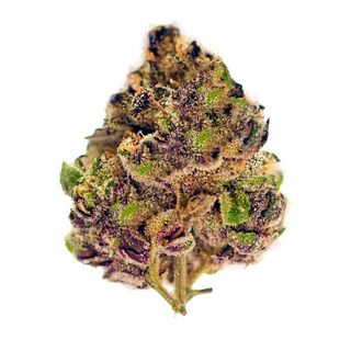 Cannabis Promo, Cannabis Sales, Cannabis Discounts, Cannabis on Sale, 25% off Flora Brands 1