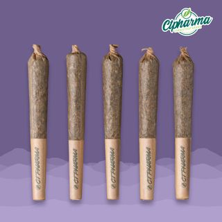 GMO CTPharma