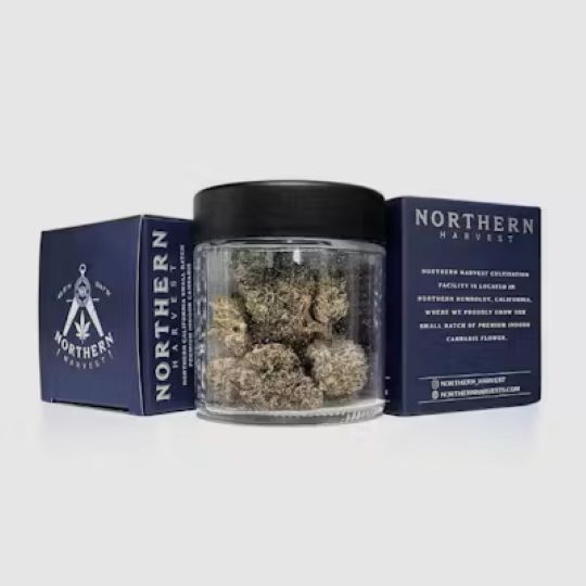 Jack Herer Northern Harvest