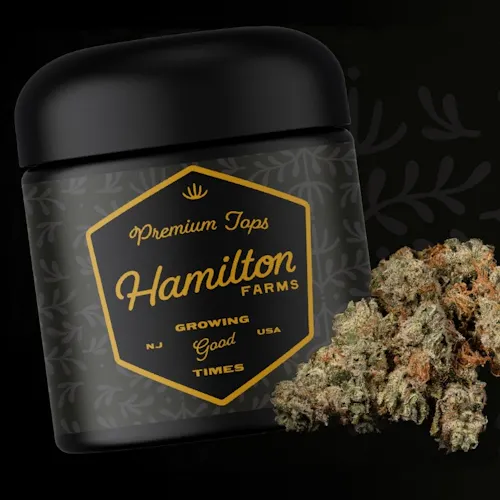 Block Berry Hamilton Farms