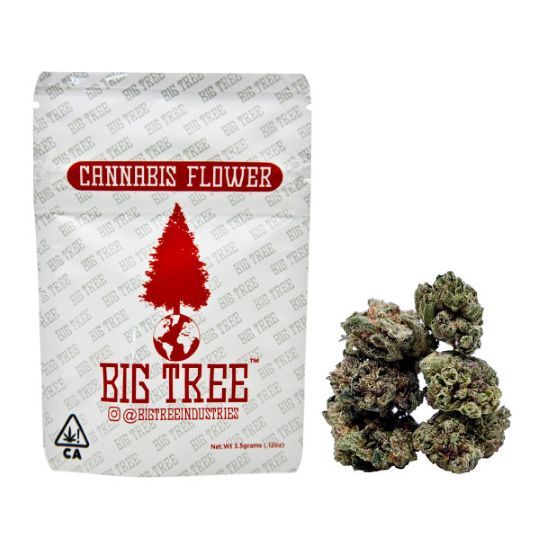 Basics Platinum Gelato Big Tree