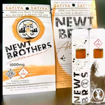 l AIO LR l Fried Ice Cream Newt Brothers