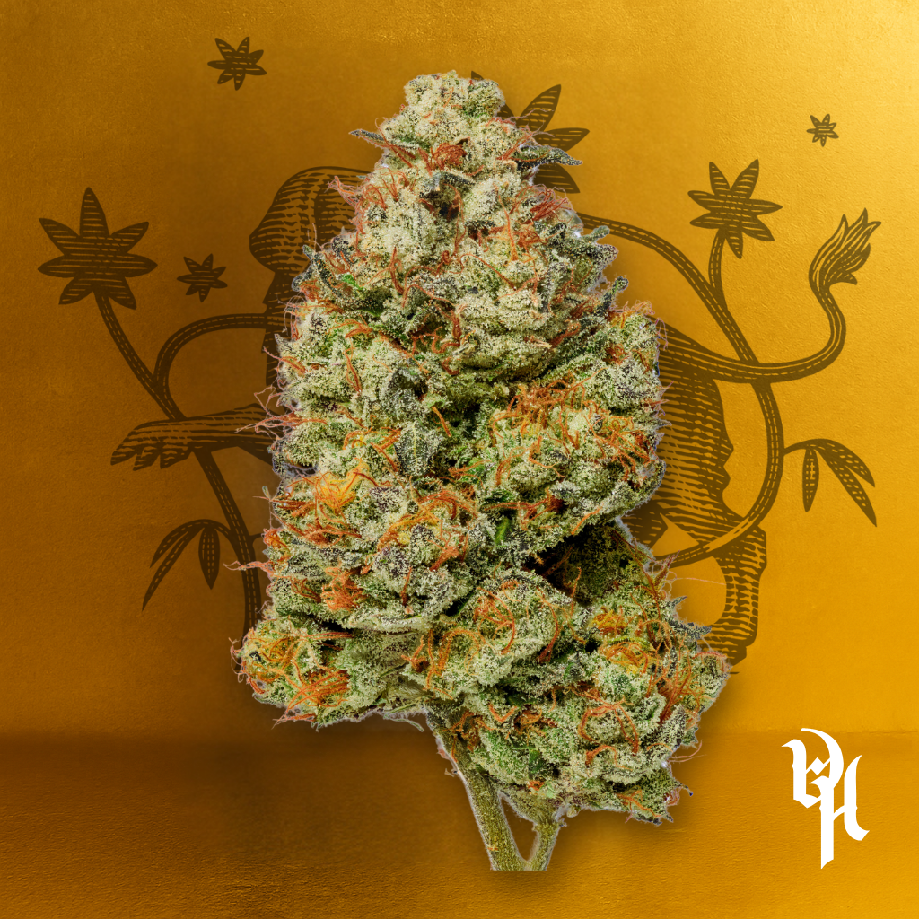 Buy Candy Clouds - #1 1/8oz Premium Whole Flower online
