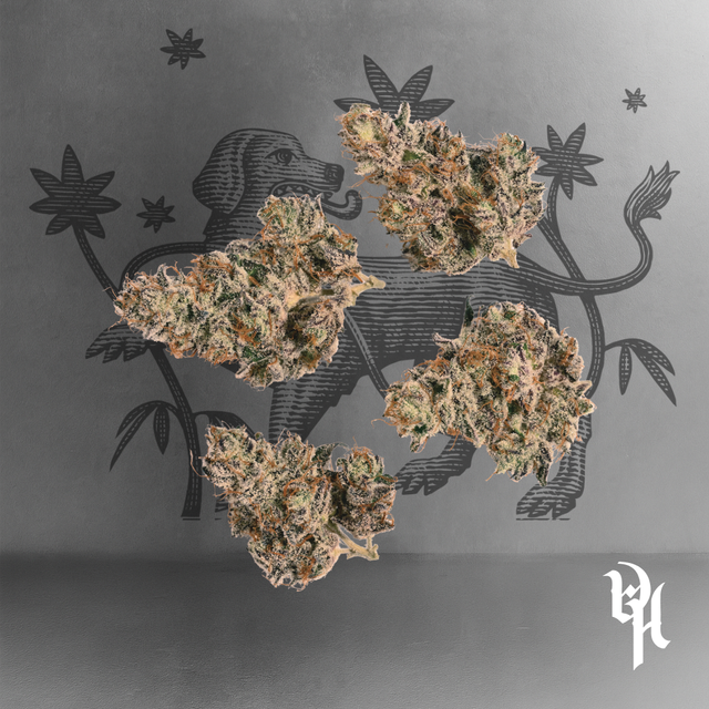 Buy Pink Passion 1/8oz Premium Whole Flower online - Goldflower