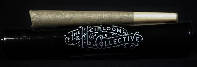Archetype 1g Heirloom Collective