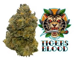 Tigers Blood 3.5g Lazy River Products