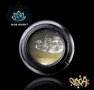 Superboof Pioca 1g Live Blue River Terps