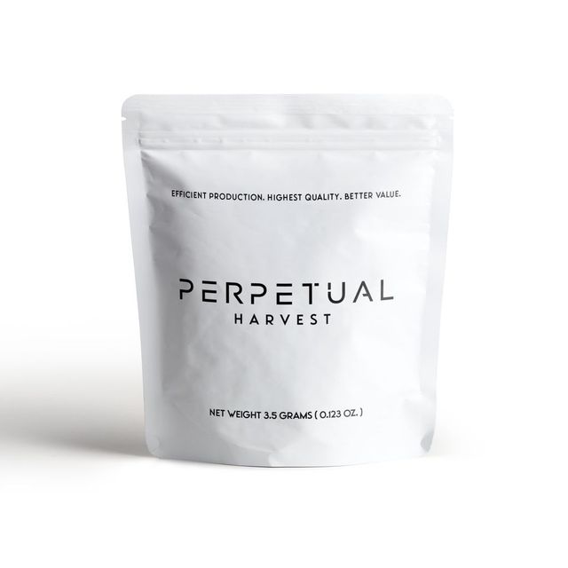 Dirty Banana 3.5g Perpetual