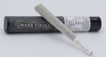 Grape Gary 1g Mass Yield Cultivation