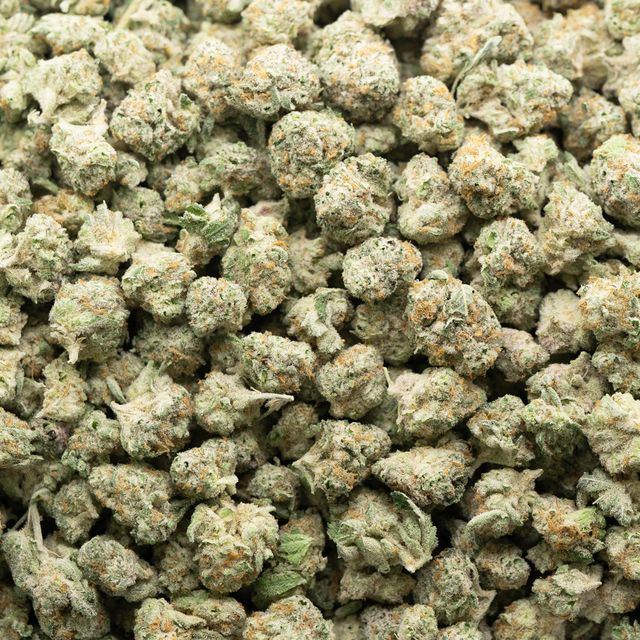 The Bazillionaire (HYB) Seven Leaves