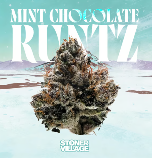 Mint Chocolate Runtz
