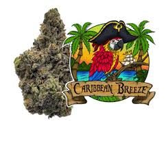 Caribbean Breeze #6 3.5g Lazy River Products