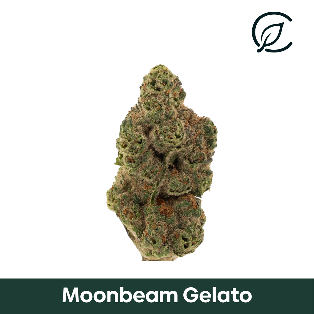Moonbeam Gelato