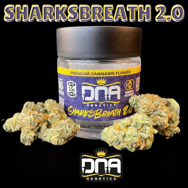 Sharksbreath 2.0 DNA Genetics