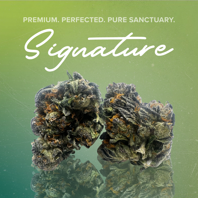 Apples and Bananas Sanctuary Cannabis Apples and Bananas Sanctuary Cannabis