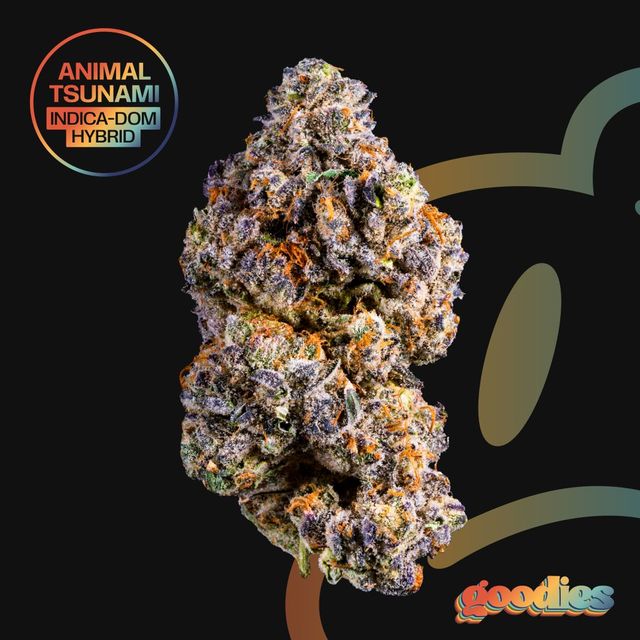 Animal Tsunami Goodies