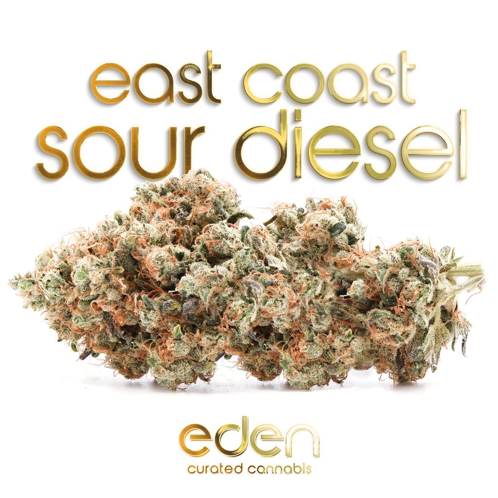 ECSD