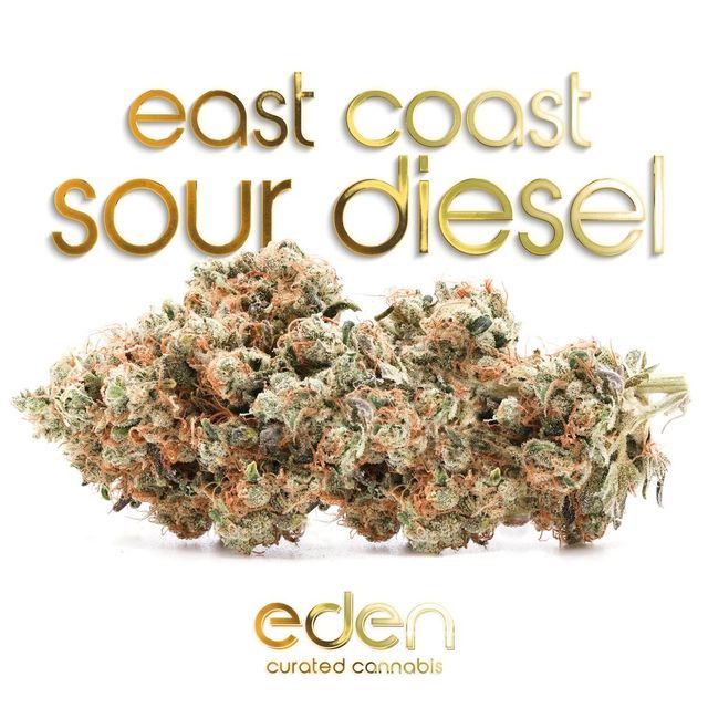 ECSD