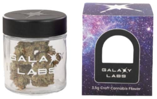Brioche French Toast Galaxy Labs