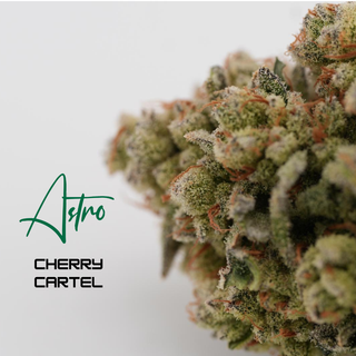 Cherry Cartel Astro
