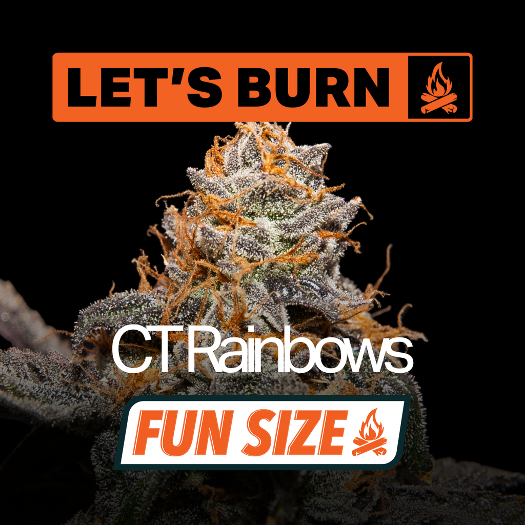 CT Rainbows