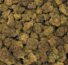 Peach Breath Seven Leaves
