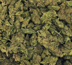 Lemonhead Delight Seven Leaves