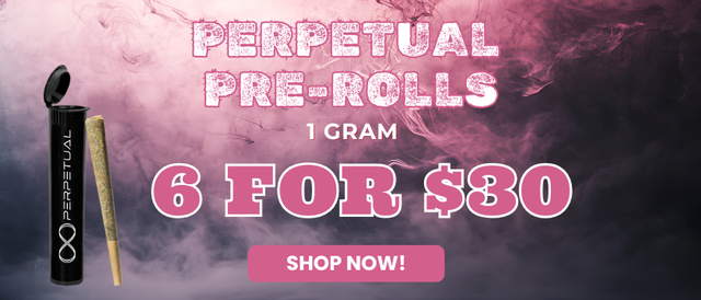 Cannabis Promo, Cannabis Sales, Cannabis Offers, Cannabis on Sale, PERPETUAL 1G PRE-ROLLS - 6 FOR $30